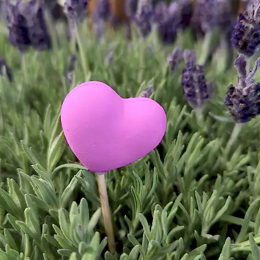 Hot Pink Heart | Decorative Plant Pot Accessory | Gardening Accessories