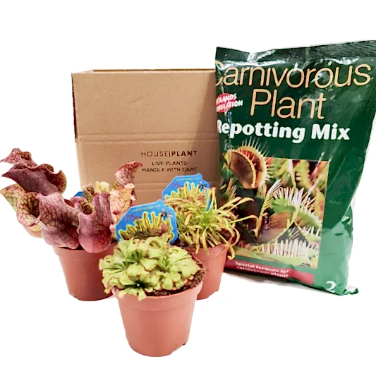 Carnivorous | Mystery Box | Pest Control