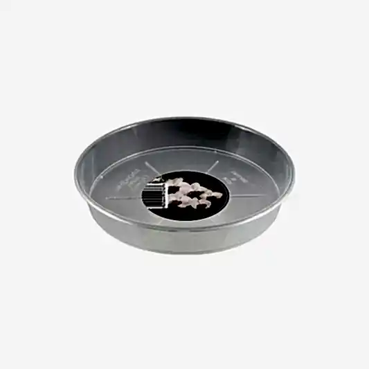 Orchid Saucer | Transparent | Pots & Planters
