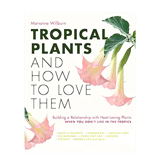 Tropical Plants and How To Love Them by Marianne Willburn | Books