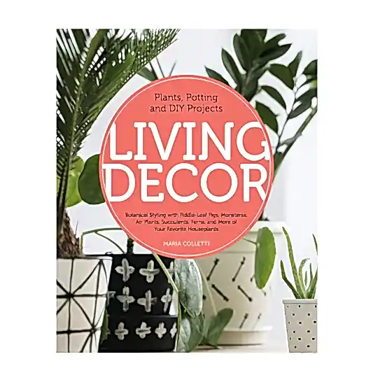 Living Decor: Plants, Potting and DIY Projects - Botanical Styling with Fiddle-Leaf Figs, Monsteras, Air Plants, Succulents, Ferns, and More of Your Favorite Houseplants by Maria Colletti | Books