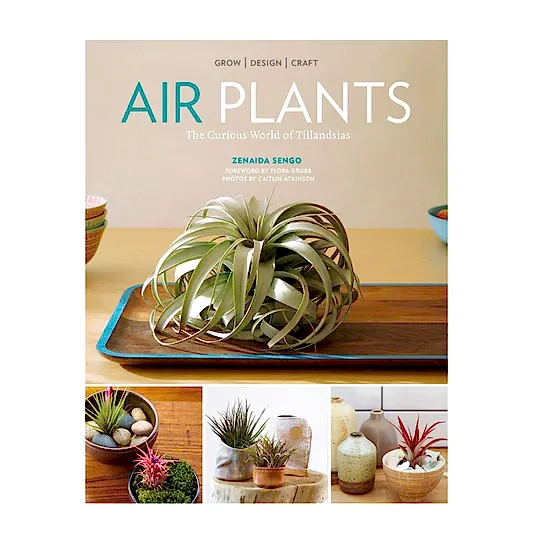 Air Plants: The Curious World of Tillandsias by Zenaida Sengo | Books