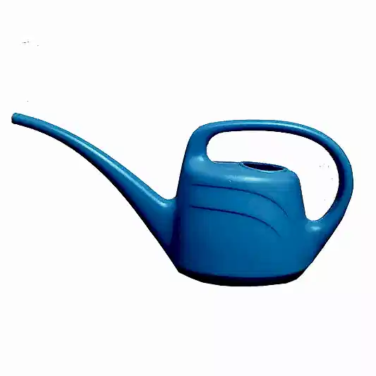 Eden Watering Can 2L | Gardening Tools