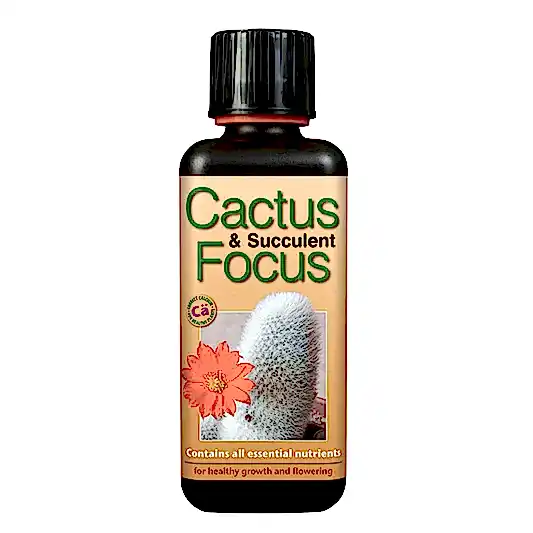 Cactus & Succulent Focus  - Plant Food | Fertilizers