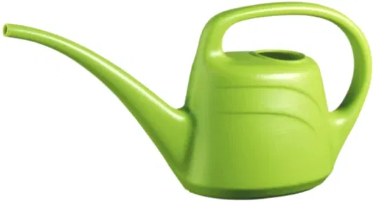 Eden Watering Can 2L | Gardening Tools