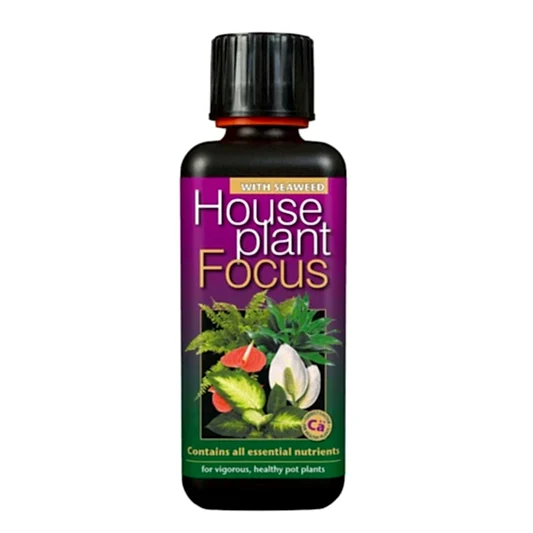 Houseplant Focus  - Plant Food | Fertilizers