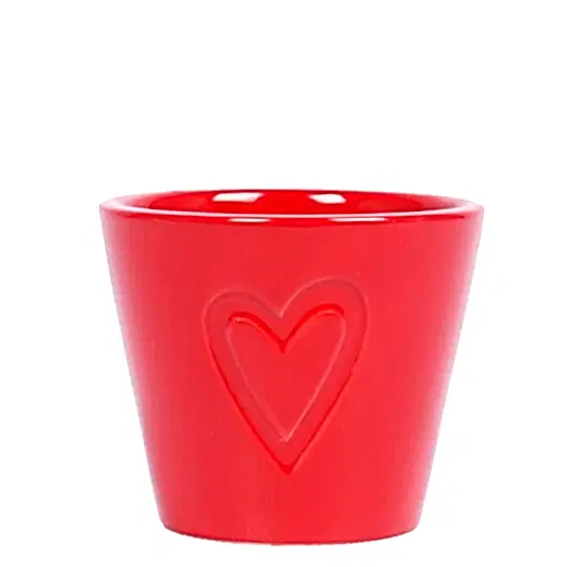 Boston Plant Pot | Pots & Planters